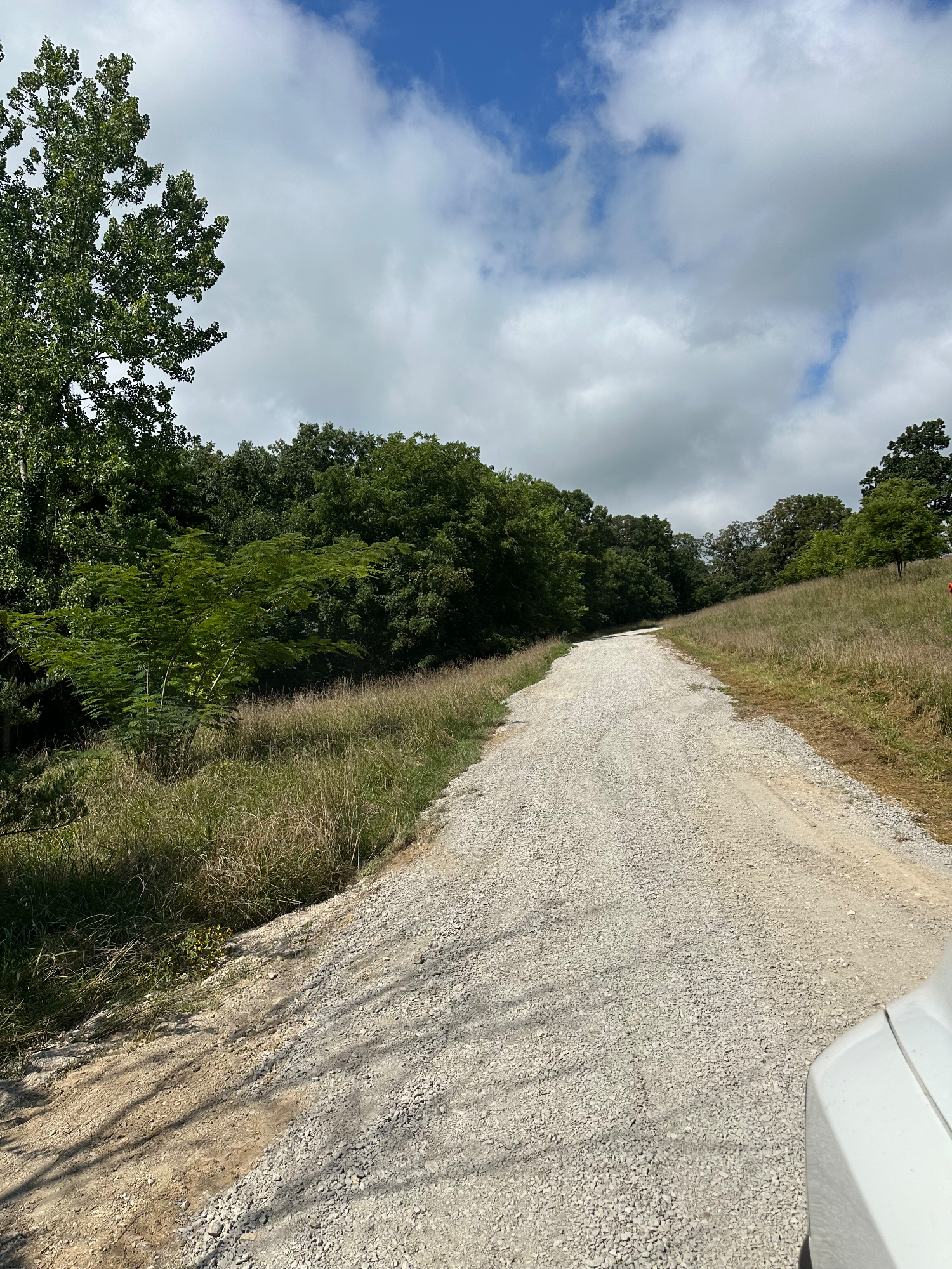 Regraded gravel driveway with smooth, compacted surface after washout repair