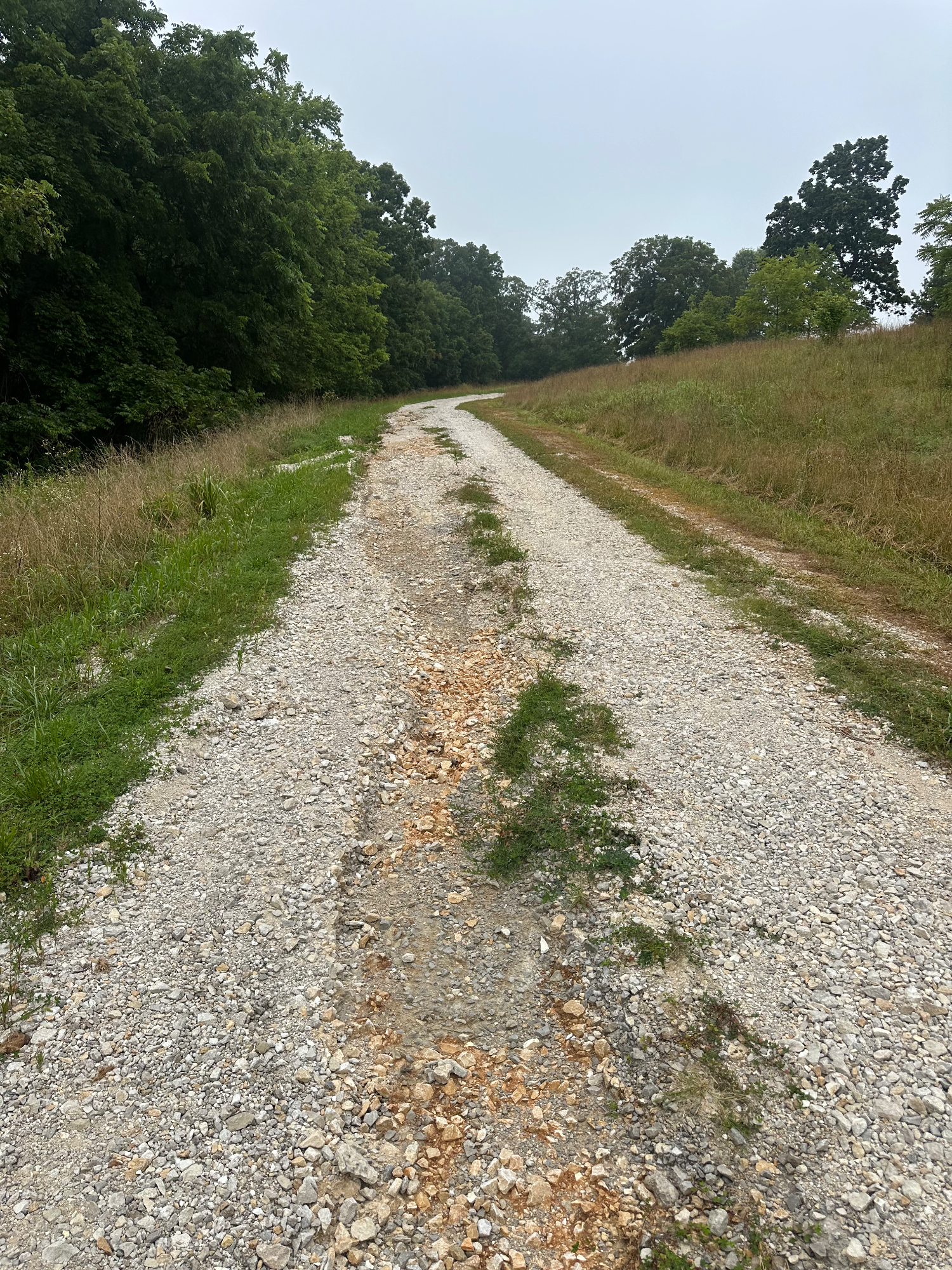 Washed-out gravel driveway with ruts up to a foot deep in Eolia, MO