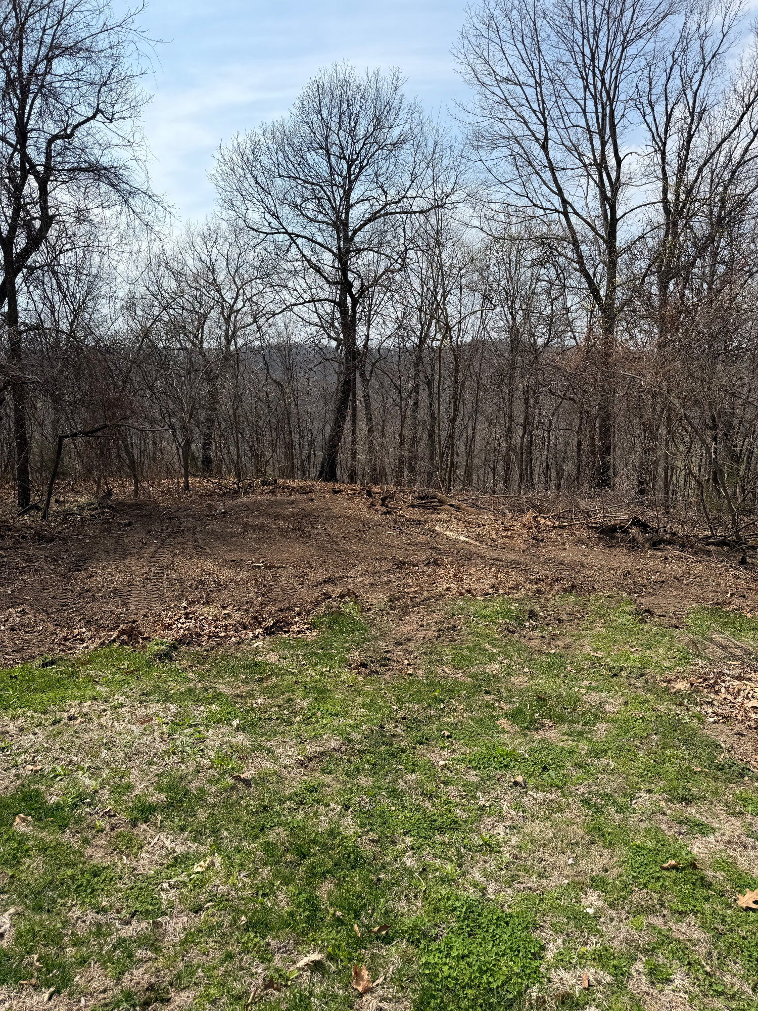 Same property after forestry mulching with cleared ground and open sightlines replacing dense brush