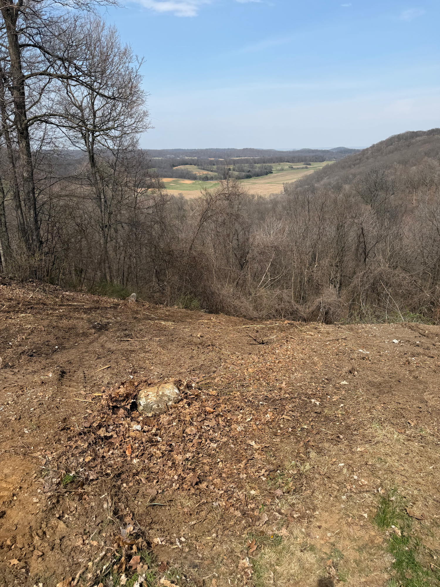 Cleared 3-acre parcel with open sight lines restored after forestry mulching