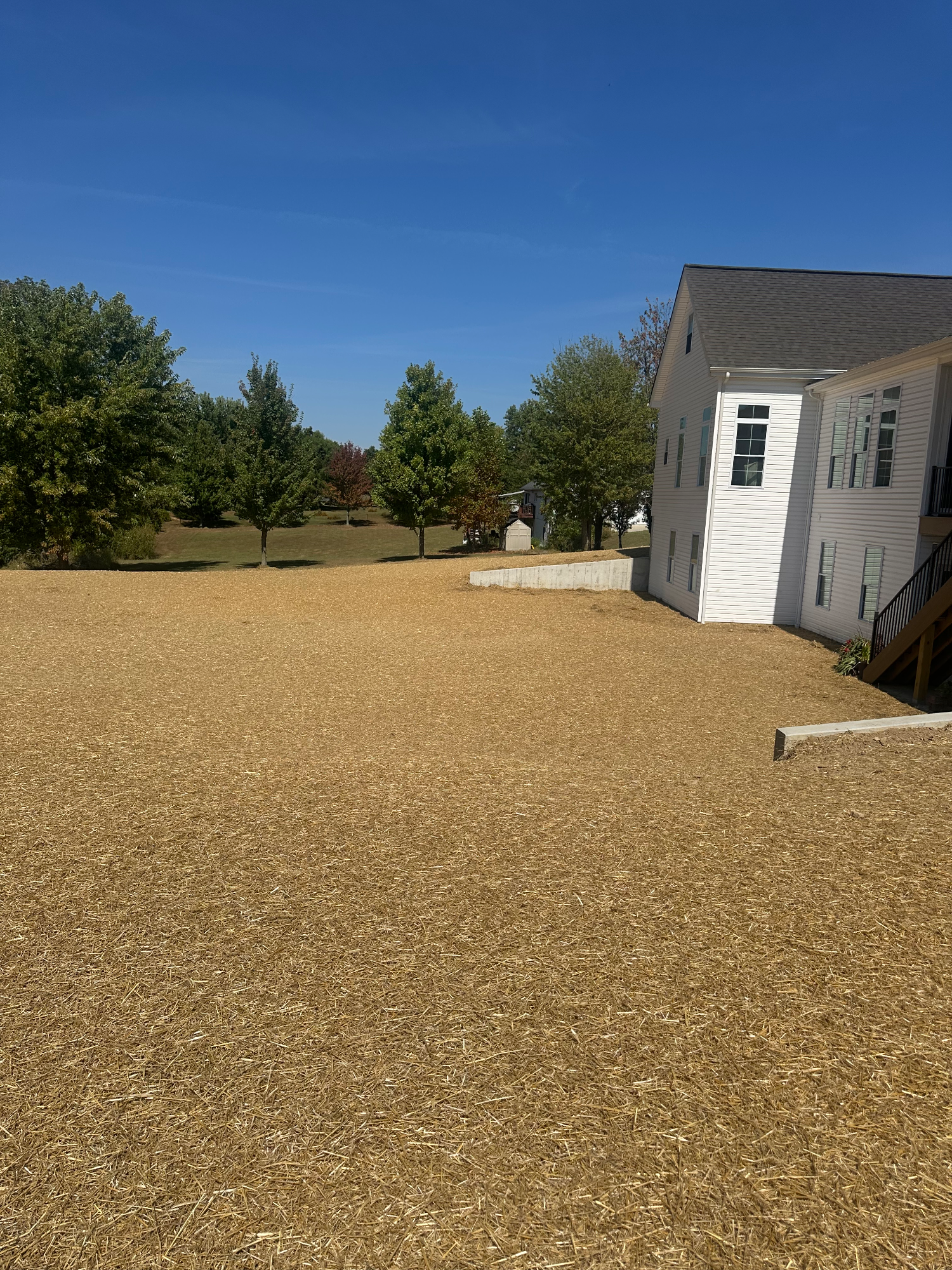 Freshly graded yard with straw-covered grass seed and corrected drainage slope away from house