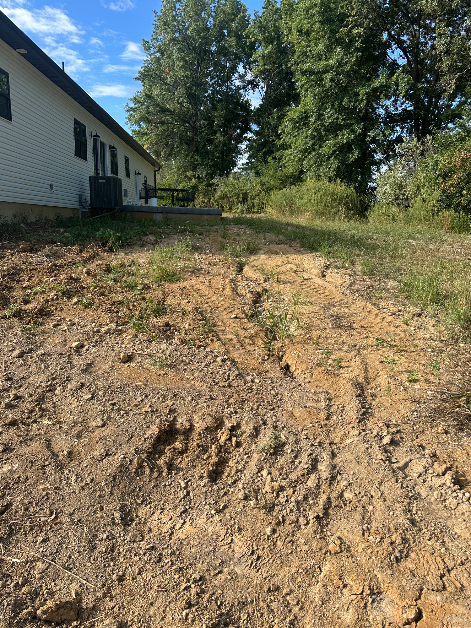 Uneven, worn-out yard with bare soil and poor surface drainage in Bowling Green